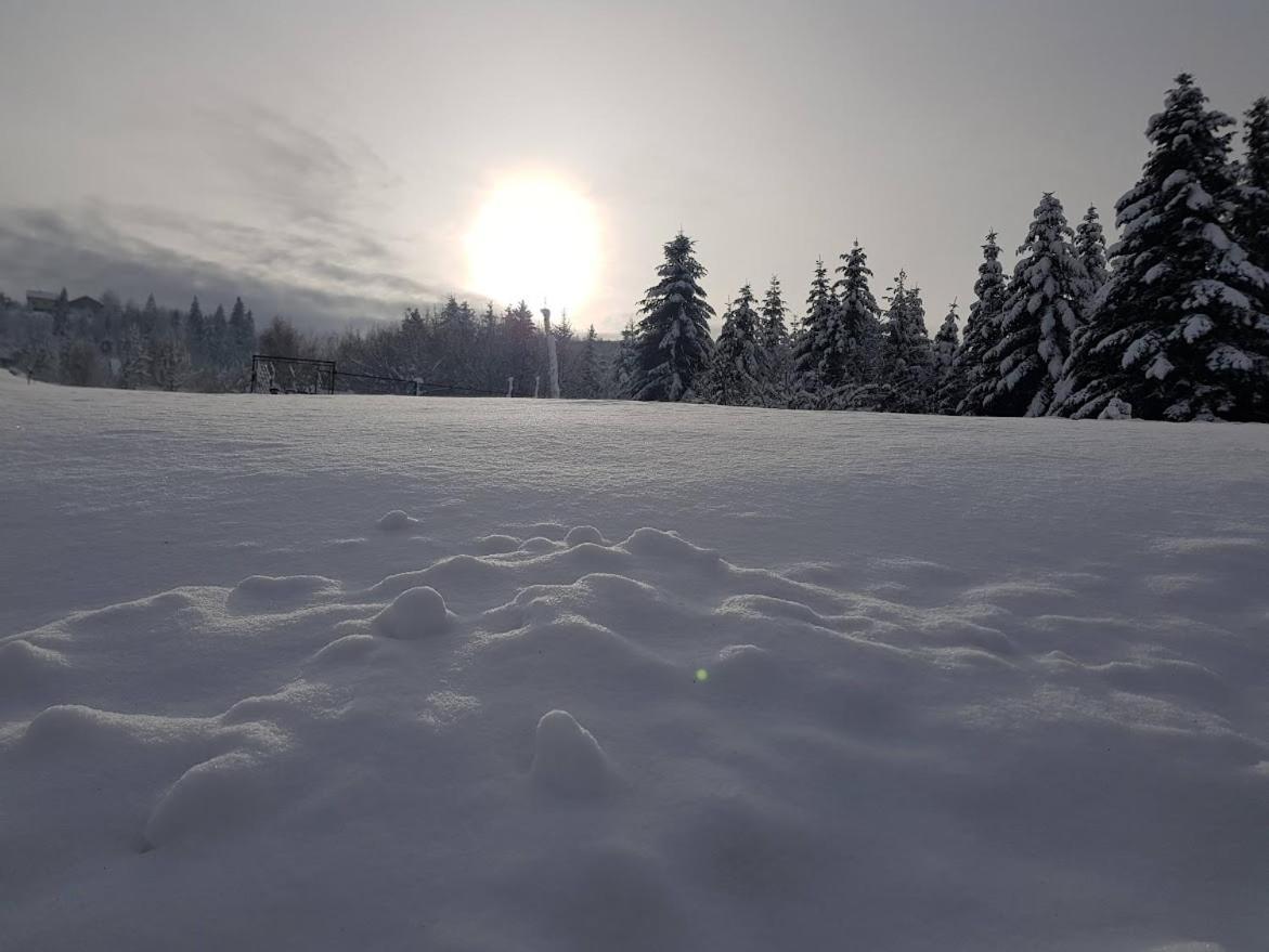 Agroturystyka Koronkowe Zacisze Koniaków 외부 사진