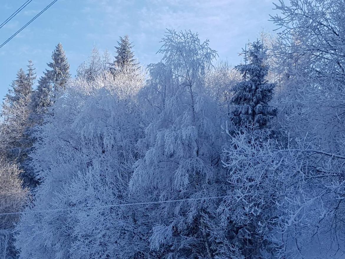 Agroturystyka Koronkowe Zacisze Koniaków 외부 사진